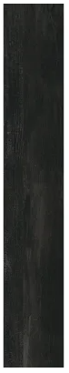 Плитка Allore Group Albero Black F PR R Mat 19,8x120 см